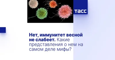 ᐉ Снижение иммунитета – закономерности и потенциал опорной системы организма