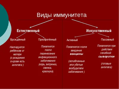 Анкета. Проверь свой иммунитет! | Гаврилов-Ямская ЦРБ