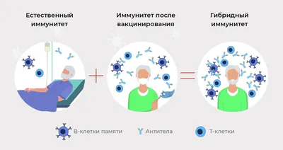 Хочешь проверить свой иммунитет к основным вирусным инфекциям? - РМОО  ВСТРЕЧА