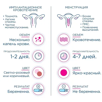 Как отличить имплантационное кровотечение при беременности от менструации |  О детском здоровье: с врачебного на родительский | Дзен