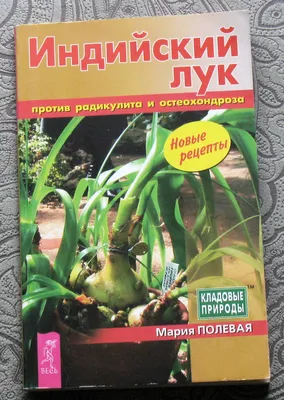 Индийский лук лечебное растение: 230 грн. - Комнатные растения Запорожье на  Olx