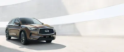 Обзоры б/у авто Infiniti FX (Инфинити ЭфИкс) с пробегом. Подержанный  Infiniti FX II (2008-2013): В поисках вкусных фиников