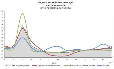 Как защититься в 2023 году от инфляции инвестору: полный список  инструментов от экспертов - РБК Инвестиции