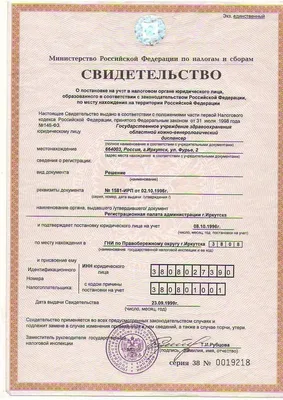 ИНН от ФНС в 2023