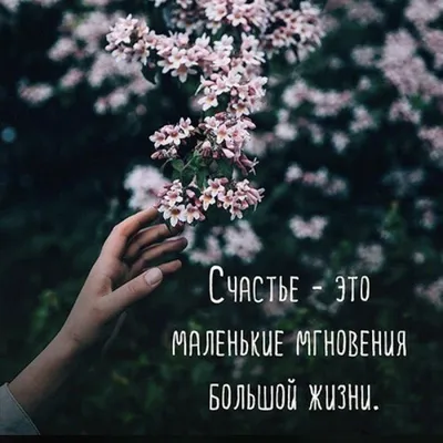 1,884 отметок «Нравится», 13 комментариев — Статусы Со смыслом (@citativk)  в Instagram: «Мы всегда стараемся для Вас. П… | Жизненная мотивация, Слова,  Мудрые цитаты