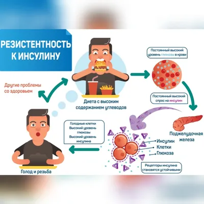 ЕНДОКРИНОЛОГ-ДІЄТОЛОГ. ДНІПРО🇺🇦 on Instagram: \"ИНСУЛИНОРЕЗИСТЕНТНОСТЬ Что  можно? Что нельзя? ИР - это состояние предиабета. То есть сахарный диабет  ещё не наступил, но вы семимильными шагами в припрыжку к нему идёте. Более  детально