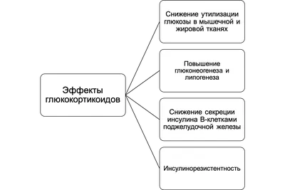 Инсулинорезистентность или почему сейчас набирает обороты диагноз диабет  второго типа Запреты. Ограничения. Миллион разных концепций… | Instagram