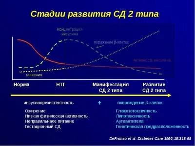 Инсулинорезистентность и нарушение репродукции (обзор литературы) – тема  научной статьи по клинической медицине читайте бесплатно текст  научно-исследовательской работы в электронной библиотеке КиберЛенинка