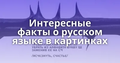 Интересные факты о русском языке в картинках - Поросёнка.нет