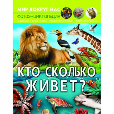 Интересные факты в картинках » uCrazy.ru - Источник Хорошего Настроения