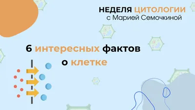 Интересные факты о Грузии