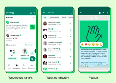 В WhatsApp может появиться новая интересная функция | Inbusiness.kz