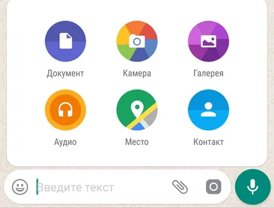 Баг в WhatsApp: это сообщение может привести к краху вашего телефона |  PORTAL APPLE: всё самое интересное в мире Apple — новости, обзоры приложения