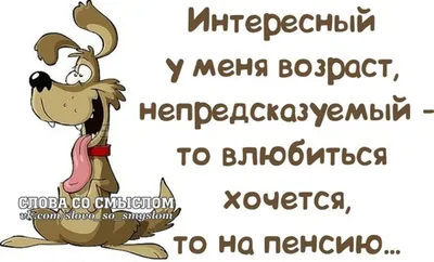 Интересные и мудрые цитаты о жизни со смыслом - подборка. часть 2 |  Развлечений Channel | Дзен