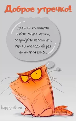 Цитаты со смыслом, тонкий юмор, интересные факты - подписывайтесь 🤝  @homyaki_dzen, понравилась публикация - оцените лайком ❤️ Оставляйте… |  Instagram