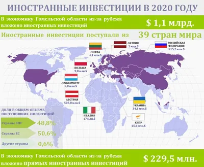 Инвестиции в акции: сколько можно заработать за год