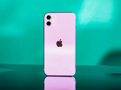 ArktisPRO iPhone 11 Pro Max Hülle ORIGINAL Premium Hardcase - Klar |  arktis.de