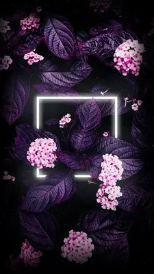 Фон, заставка, обои, wall | Flower iphone wallpaper, Flower phone  wallpaper, Neon wallpaper