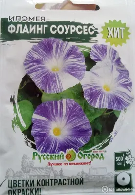 Ипомея батат Sweet Caroline Purple 890 руб. AGRO48115