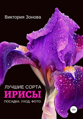 Картина маслом ирисы. Картина цветы. Ирисы на холсте в интернет-магазине  Ярмарка Мастеров по цене 9500 ₽ – KZOR4BY | Картины, Москва - доставка по  России