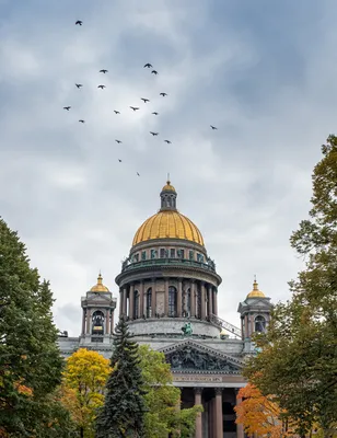 На реставрацию Исаакиевского собора планируется направить 250 млн рублей -  Недвижимость РИА Новости, 22.02.2023