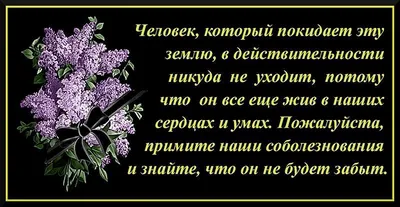 Ислам: Близость с женой во время Поста: Аллах простит - просто отпусти раба  | ⚖️ 𝕷𝖎𝖇𝖊𝖗𝖙𝖆𝖗𝖎𝖆𝖓 𝕬𝖓𝖌𝖊𝖑 ⚔️ | Дзен