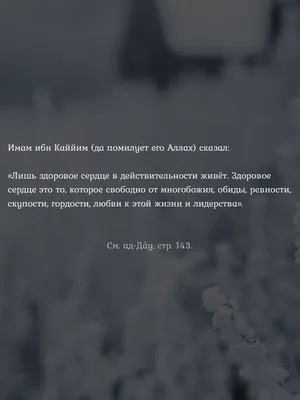 👍 Дана Уайт сдержал свое слово и разместил высказывание Ислама Махачева на  стене штаб-квартиры UFC в Лас-Вегасе! Президент UFC настолько… | Instagram