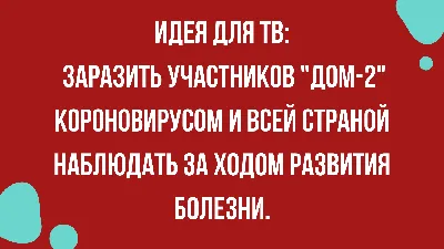 Юмор от подписчиков - смешные картинки и анекдоты | Бросаем пить вместе |  Дзен