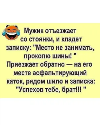 Кронн А. Словарь крепкого народного юмора. Анекдоты от `А` до `Я`. Соленые  афоризмы. Житейские наблюдения. Частушки для взрослых. ... здесь вы найдете  соленые афоризмы, хлесткие частушки, анекдоты с перцем: обо всем -