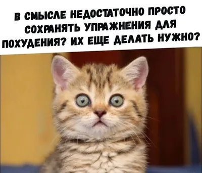 юмор #ржака #приколы#gif#mem | Ржака | ВКонтакте