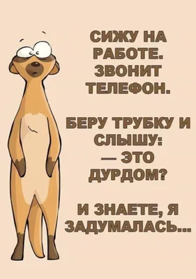 Юмор от подписчиков - смешные картинки и анекдоты | Бросаем пить вместе |  Дзен