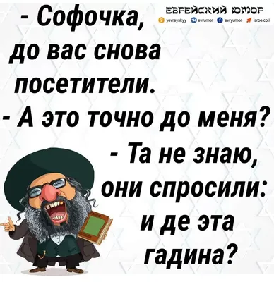 0 t.,4 41% Si 0:35 Поеду в отпуск за Вас договорная Санкт-Петербург Вид  товара Путешествия Кат / фото приколы (новые и лучшие приколы, самые  смешные прикольные фотографии и юмор в картинках, фишкинет) ::