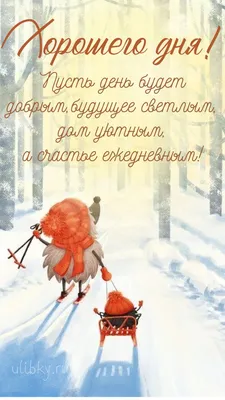 Юмор от подписчиков - смешные картинки и анекдоты | Бросаем пить вместе |  Дзен