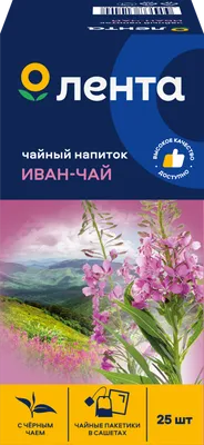 Иван-чай - культурное растение, без него человеку ни куда | Cergey  Paramonov | Дзен