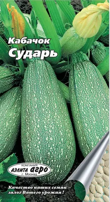 Купить кабачки в Fruitonine