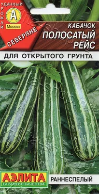 Купить кабачок цуккини цукеша 1,5г русский огород по оптимальной цене.  Строительные материалы оптом и в розницу с доставкой