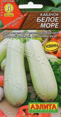 Посадка кабачков в открытый грунт семенами и рассадой: схема, уход, фото,  сроки, сорта, температура, удобрения