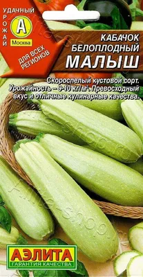 Кабачок Украина - купить за 53.00 грн, доставка по Киеву и Украине, низкая  цена | Интернет-рынок продуктов FreshMart