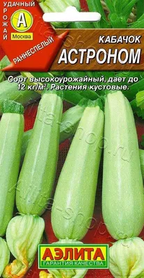 Купить Семена Кабачок ИСКАНДЕР F1 / ISKANDER F1 Seminis в Крыму c доставкой  по РФ - «АгроМаркет»