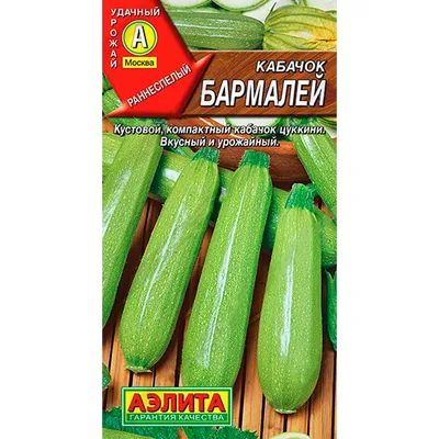 Семена Кабачок На любой вкус - купить в магазине ПроСыр