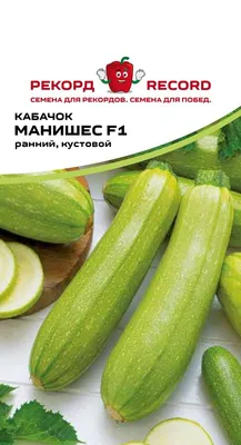 Кабачок цуккини Тондо Ди Пьяценза Zucchini Tondo Di Piacenza - купить  семена овощей с доставкой по Украине в магазине Добродар