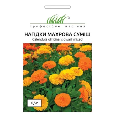 Махровая календула расцвела, сравниваю 4 сорта на клумбе с картинками на  пакетиках семян | уДачный выбор | Дзен