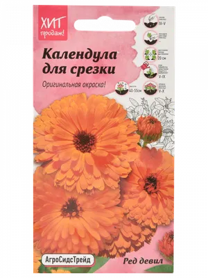 Herb Календулы цветки 1,5 г фильтр-пакетики 20 шт - купить, цена и отзывы,  Herb Календулы цветки 1,5 г фильтр-пакетики 20 шт инструкция по применению,  дешевые аналоги, описание, заказать в Москве с доставкой на дом