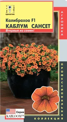 Калибрахоа (рассада) (ID#95656956), цена: 2 руб., купить на Deal.by