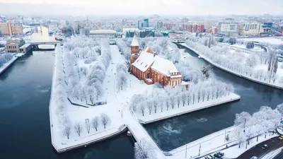 Кэшбек + выгодные цены на экскурсии в Калининград из Москвы:  достопримечательности, прогулки по морскому побережью, Средневековые замки  и легенды - турагентство Global travel