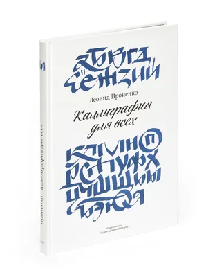 Прописи каллиграфические. Чистописание и каллиграфия. Прописи Веланского -  купить с доставкой по выгодным ценам в интернет-магазине OZON (484581442)