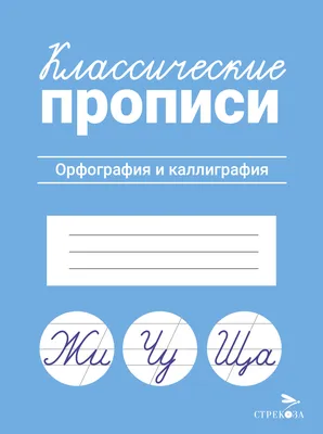 Нарисованный рукой латинский сценарий щетки каллиграфии с номерами и  символами Каллиграфический алфавит вектор Иллюстрация вектора - иллюстрации  насчитывающей каллиграфия, печать: 72159371