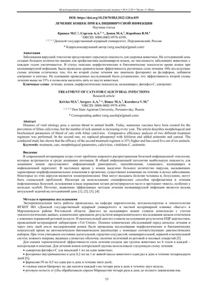 Мейн-куны. Системный кальцивироз. Что за зверь? | Мейн-куны из  Kotoamatsukami | Дзен