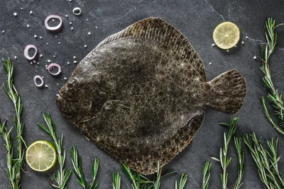 Камбала Тюрбо «Turbot flounder» дефр. ваг. - EGERSUND