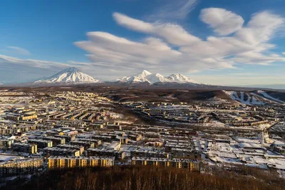 Норка лакомится лососем на реке Большой (Камчатка) | Фотографии: звери  Камчатки | Фотографии Камчатки | Камчатский край, Петропавловск-Камчатский  — краеведческий сайт о Камчатке: история Камчатки, география и этнография  Камчатки, литература Камчатки ...